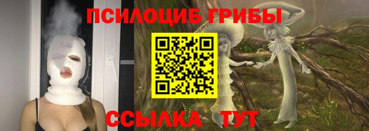 Псилоцибиновые грибы MAGIC MUSHROOMS  Вход с VPN  Арсеньев 